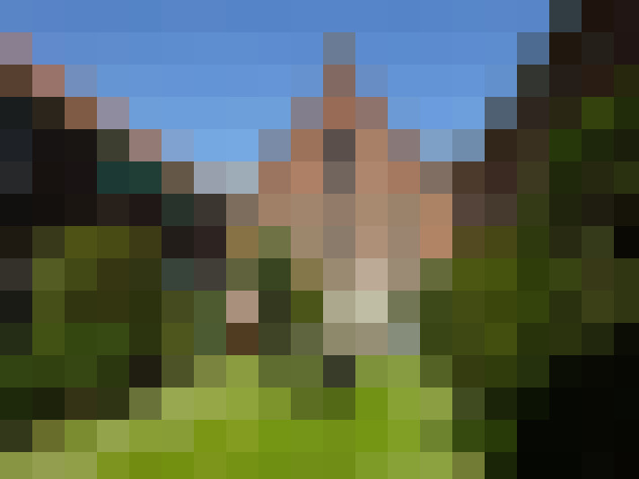  / #15