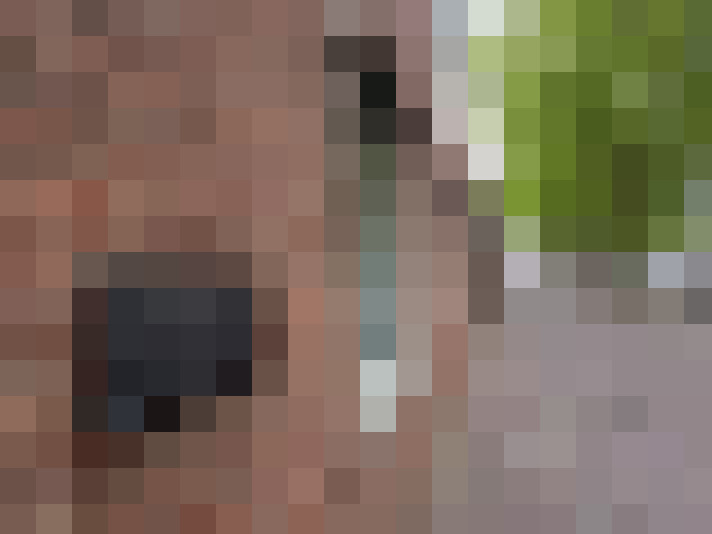 / #18