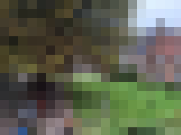  / #14