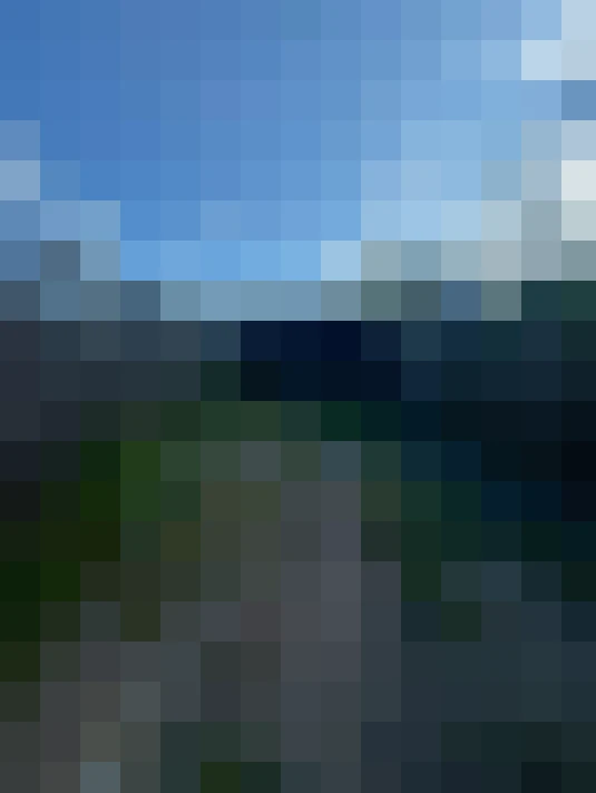 Image 21