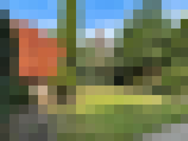 Image 28