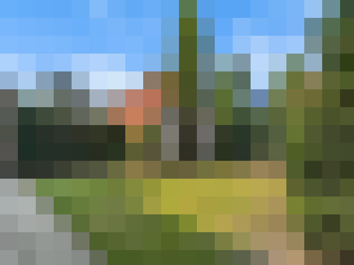 Image 27