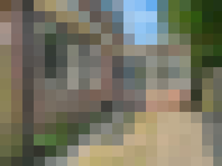 Image 26