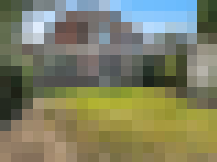 Image 29