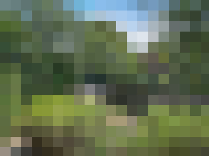 Image 25