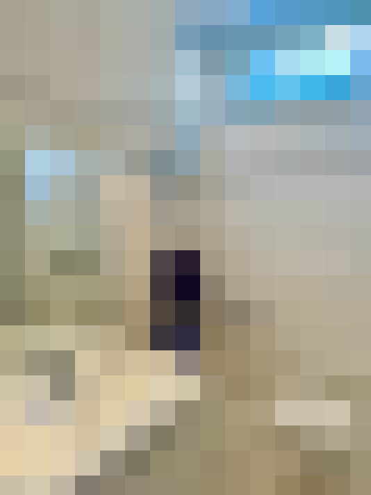  / #11
