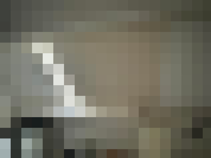  / #22