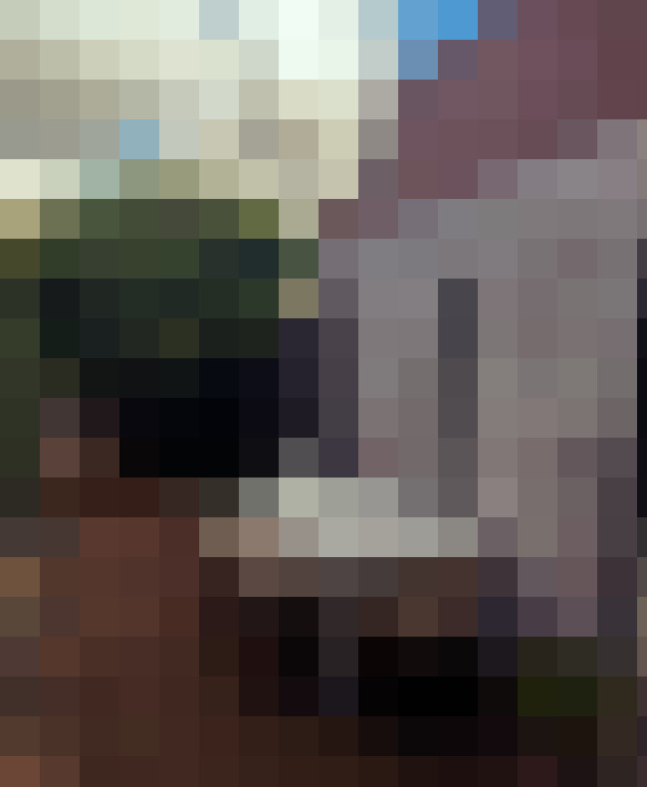  / #21