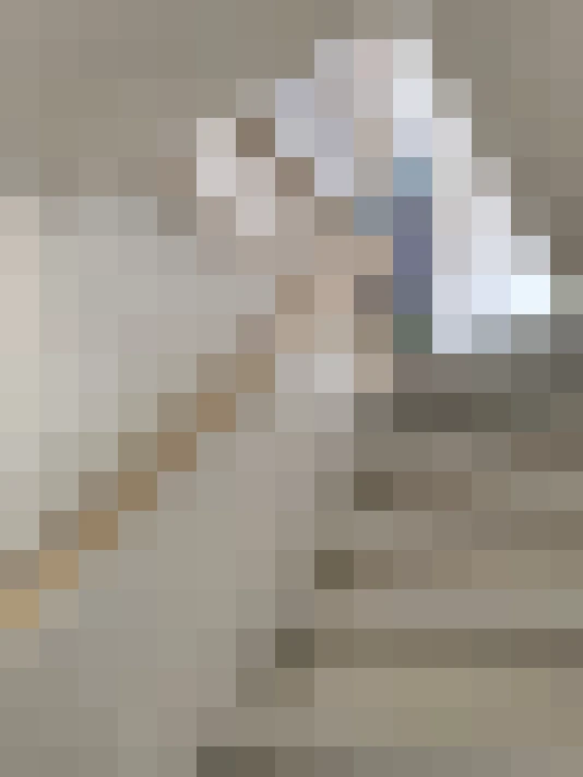 Image 22