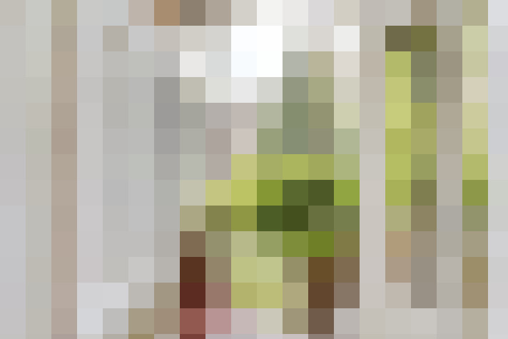 Image 17