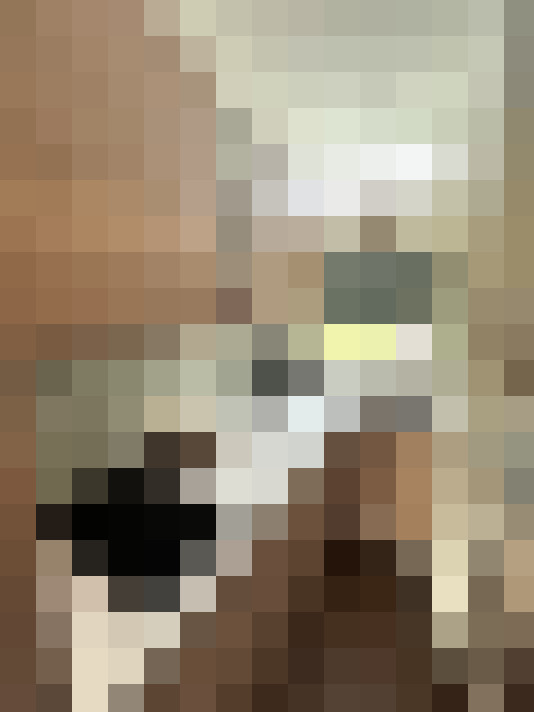  / #38