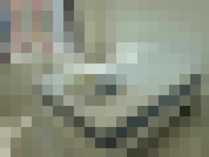 Image 16