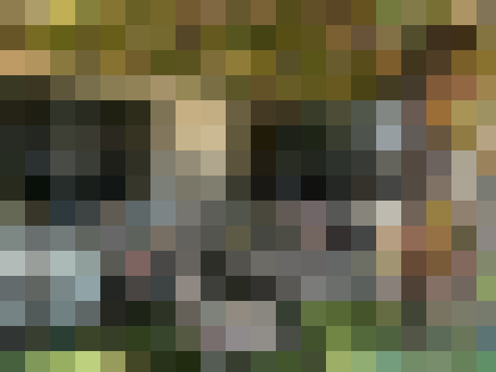 Image 18