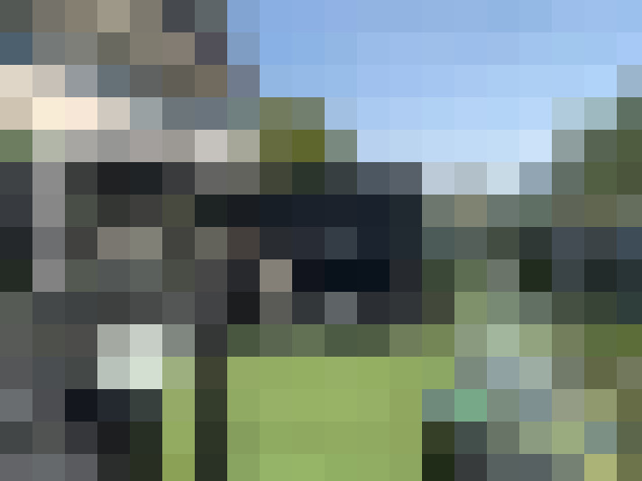 Image 17