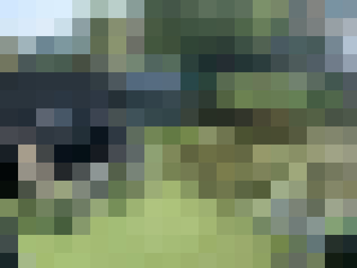 Image 15