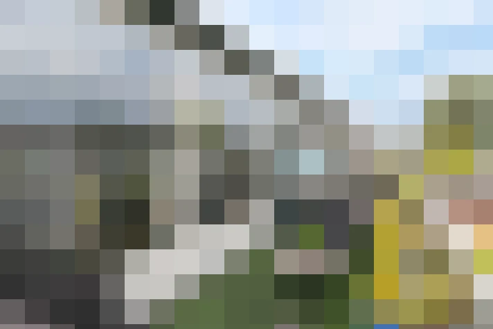 Image 20