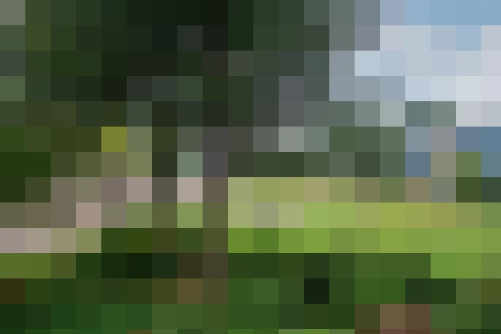 Image 29