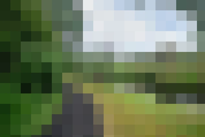 Image 30