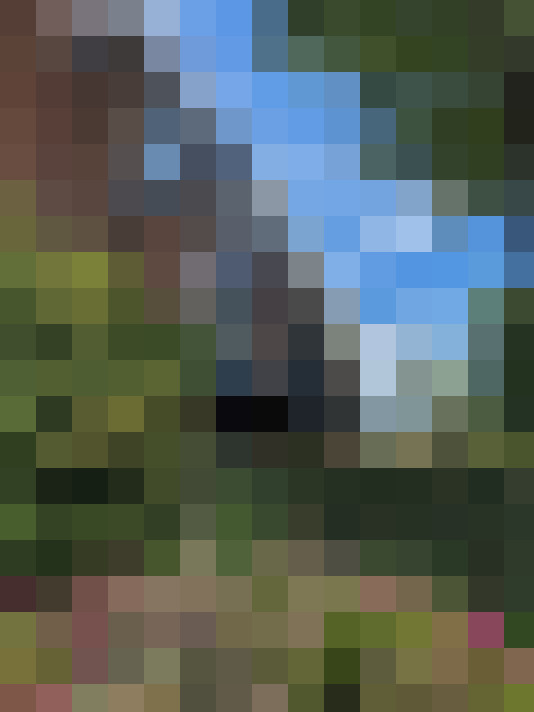  / #11