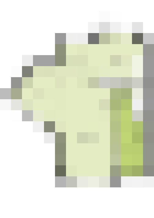  / #21