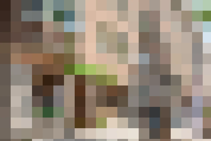 Image 31