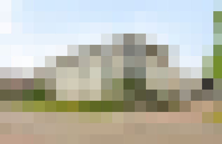 Image 22