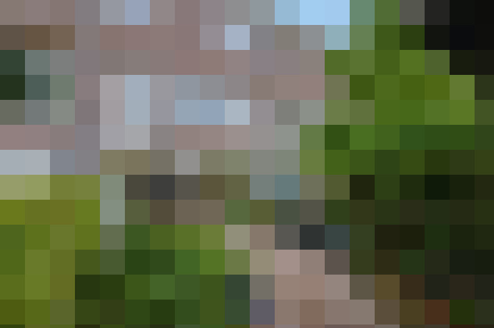  / #11