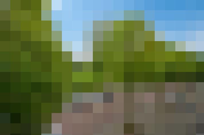 Image 23