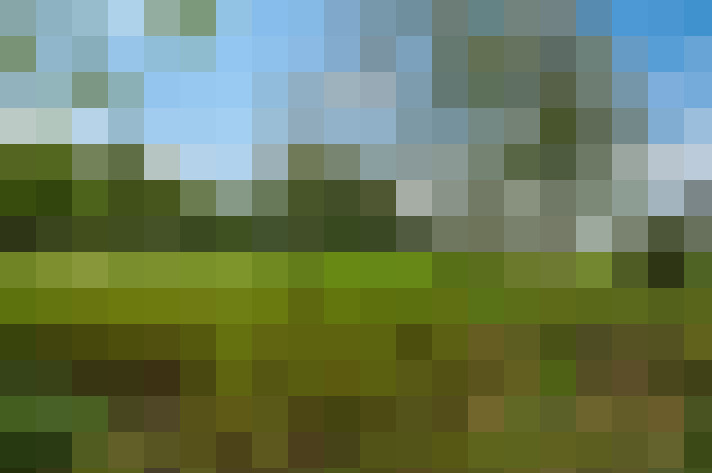 Image 33