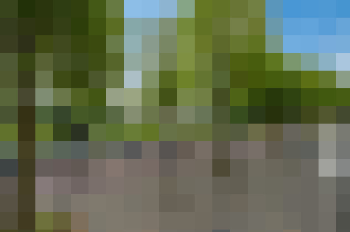 Image 22