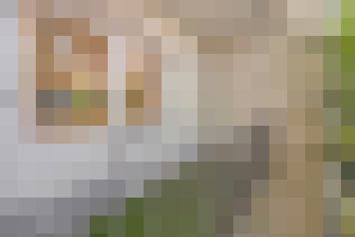  / #18