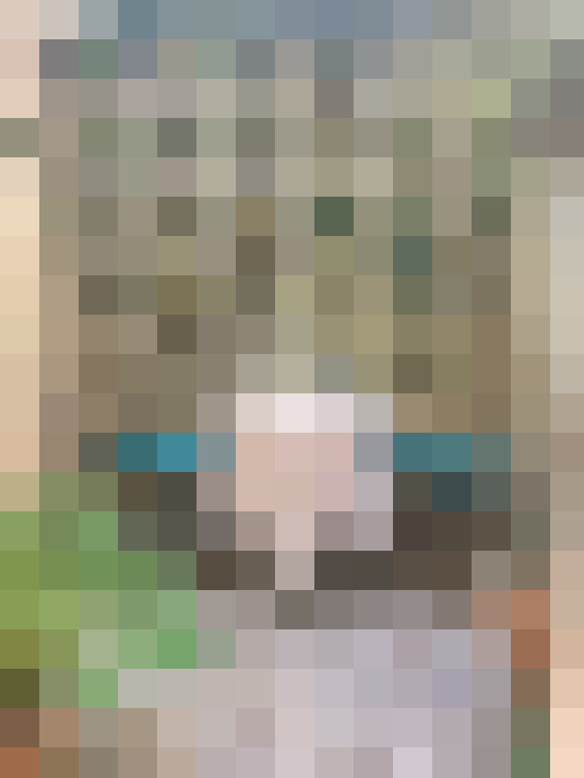  / #21