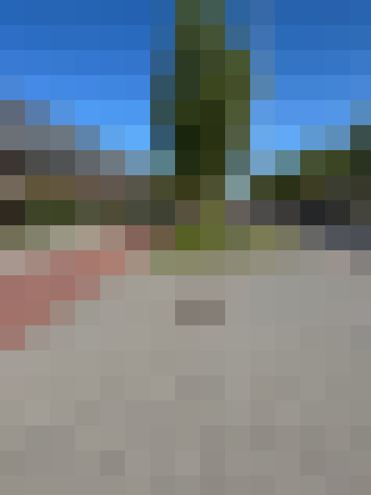  / #8