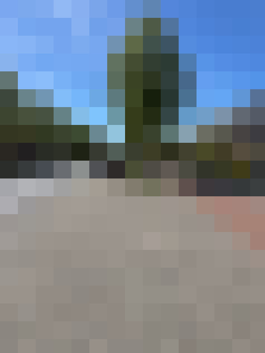  / #7