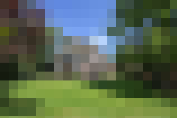 Image 62