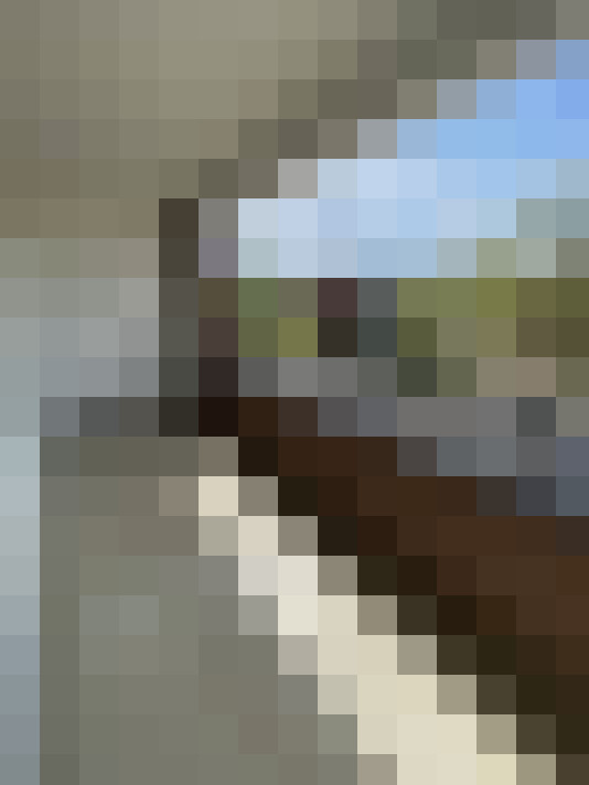  / #12