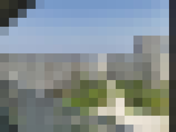 Image 14