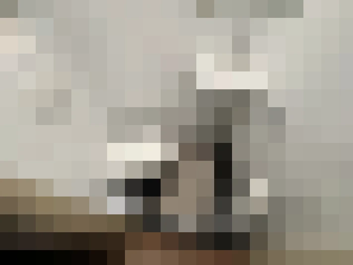 Image 49
