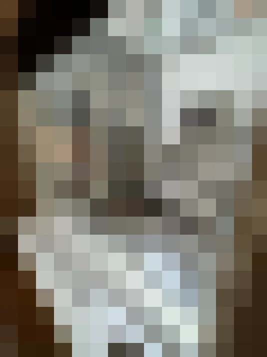Image 29
