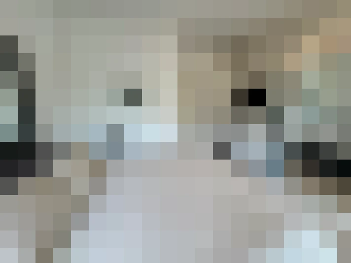 Image 51