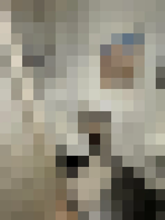 Image 28