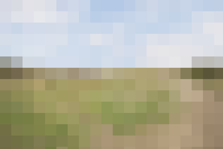 Image 23