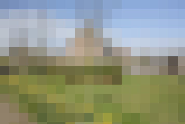 Image 22