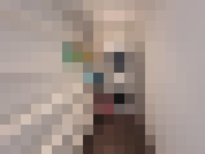  / #14