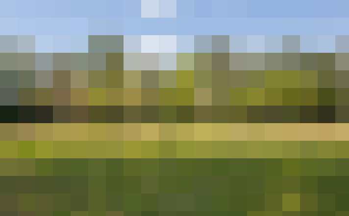 Image 31
