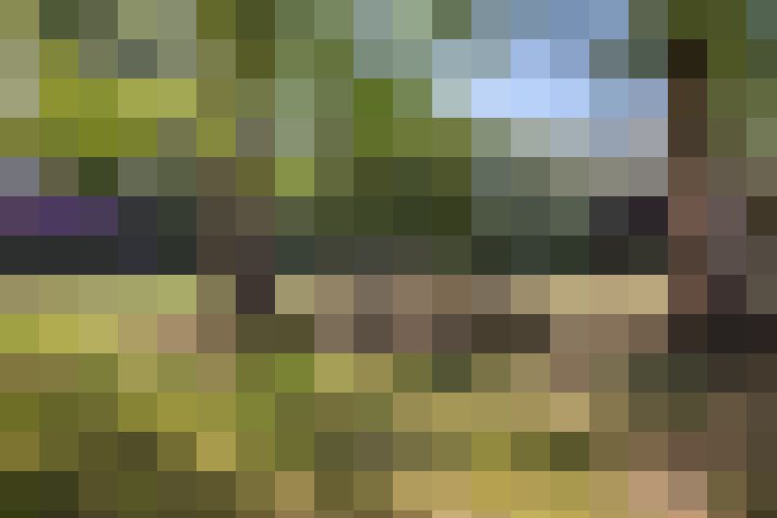 Image 35