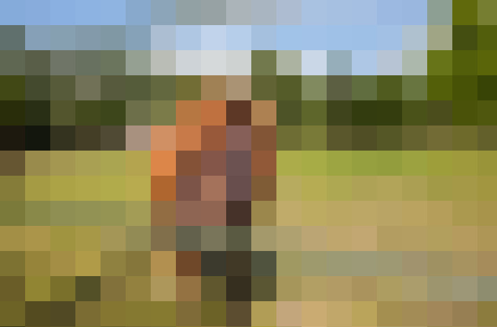 Image 49