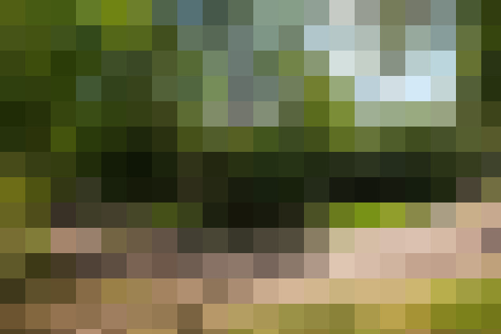 Image 61