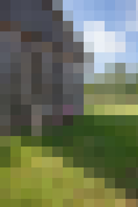 Image 28