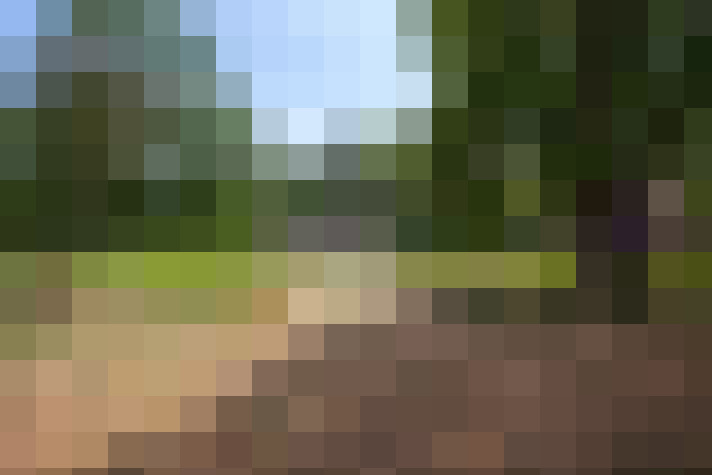 Image 54